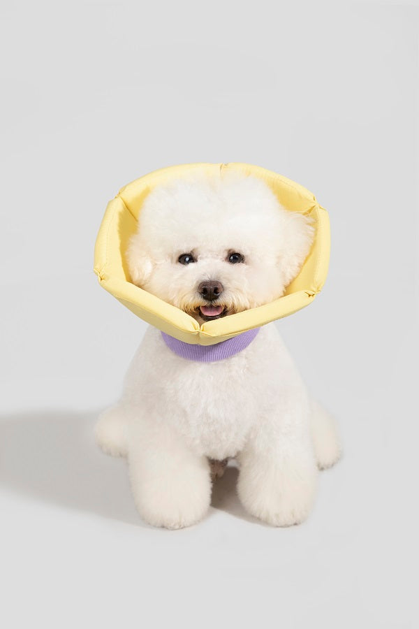 Sponge Taper Elizabethan Pet Recovery Collar
