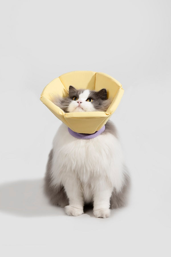 Sponge Taper Elizabethan Pet Recovery Collar