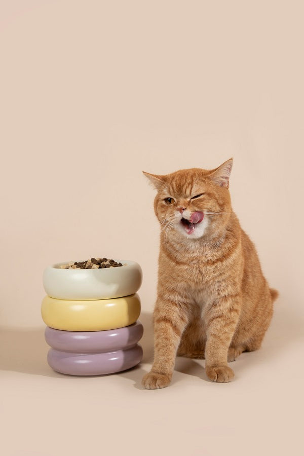 Donut Ceramic Pet Bowl (Single layer / Double layer)