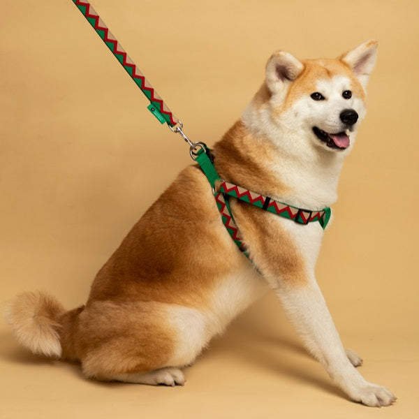 Rainbow Series - Y Shape Dog Harness