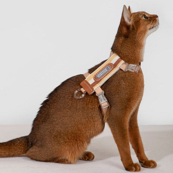 Bobo Series - Striped Cat Harness & Leash