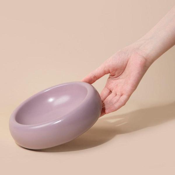 Donut Ceramic Pet Bowl (Single layer / Double layer)