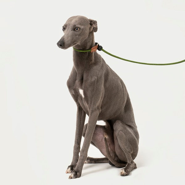BoBo Series - Leather Handle Lead Dog Leash (Slim)