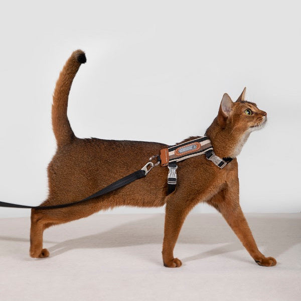 Bobo Series - Striped Cat Harness & Leash
