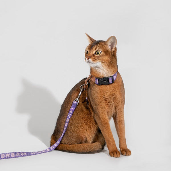 Bobo Series - Reflective Leather Cat Harness & Leash