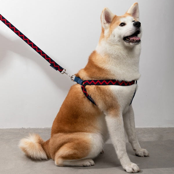 Rainbow Series - Y Shape Dog Harness