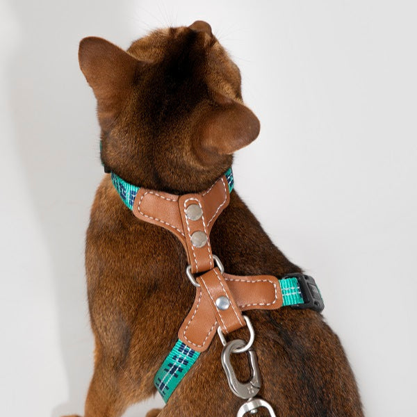 Bobo Series - Reflective Leather Cat Harness & Leash