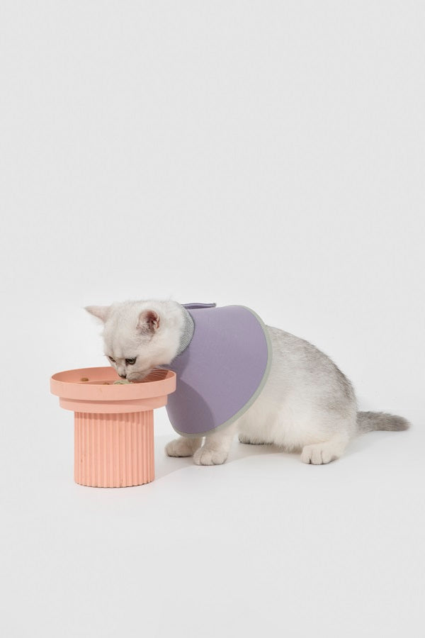 Snap Taper Elizabethan Pet Recovery Collar