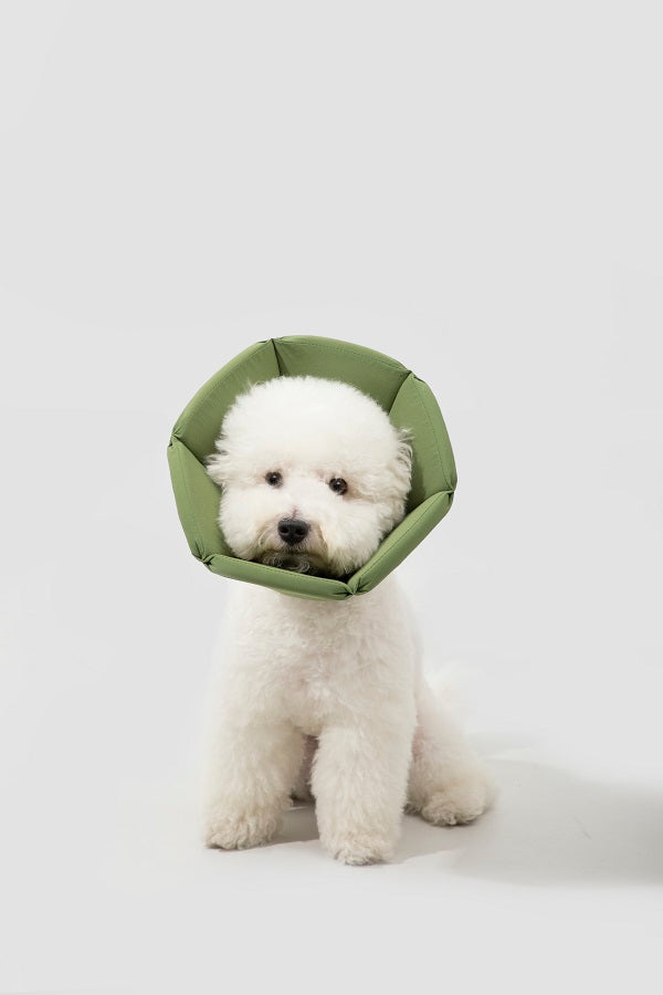 Sponge Taper Elizabethan Pet Recovery Collar