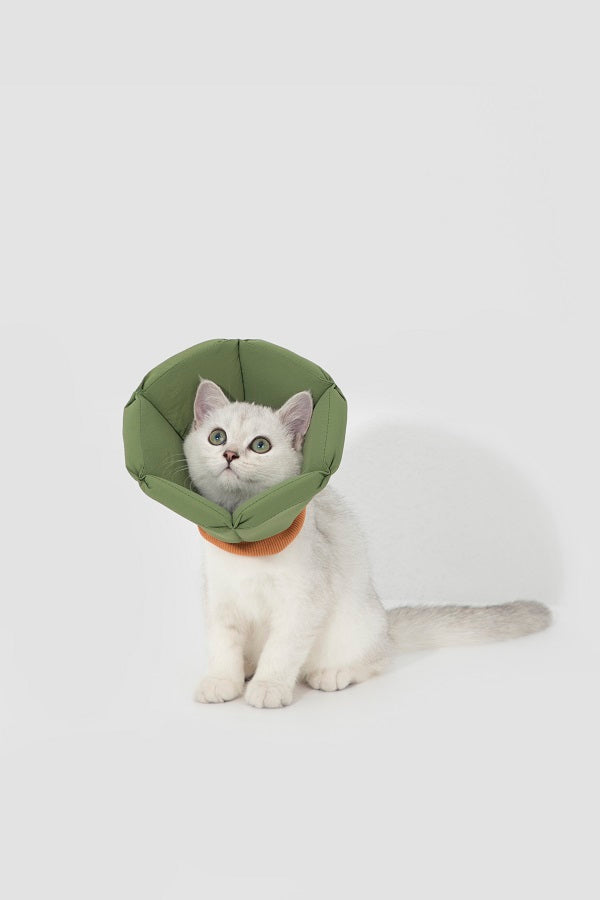 Sponge Taper Elizabethan Pet Recovery Collar