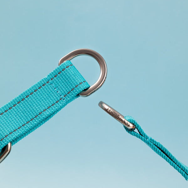 Colorful Series - Reflective Dog Collar
