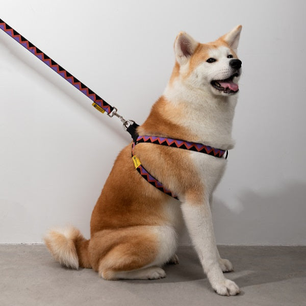 Rainbow Series - Y Shape Dog Harness