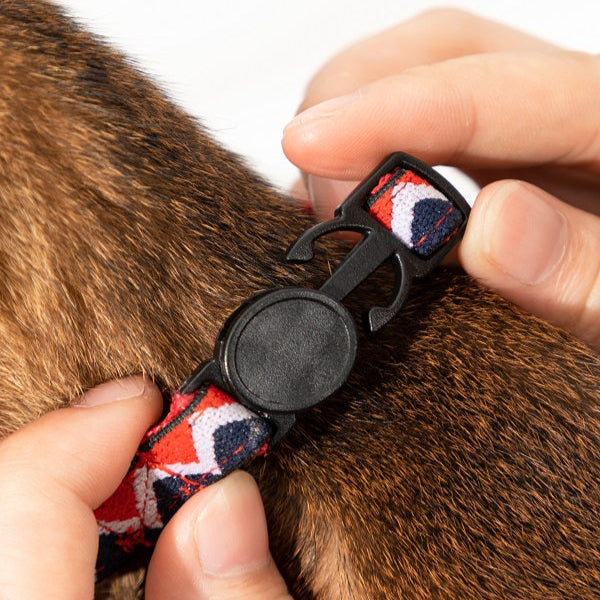 Rainbow Series - Cat Collar