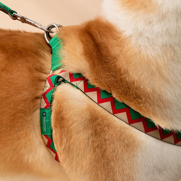 Rainbow Series - Y Shape Dog Harness