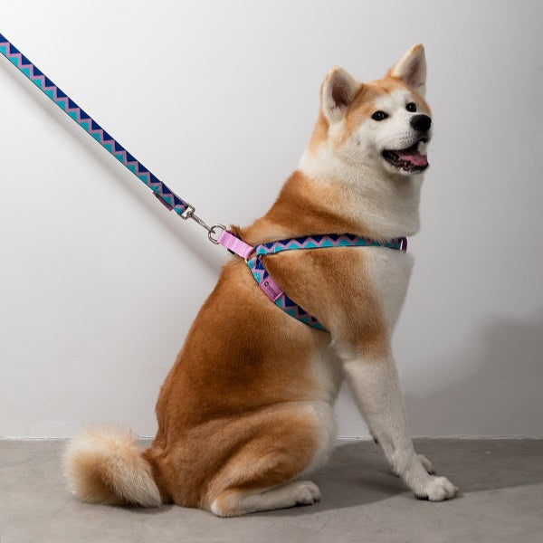 Rainbow Series - Y Shape Dog Harness