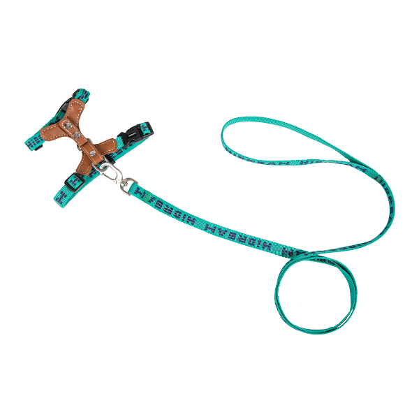 Bobo Series - Reflective Leather Cat Harness & Leash
