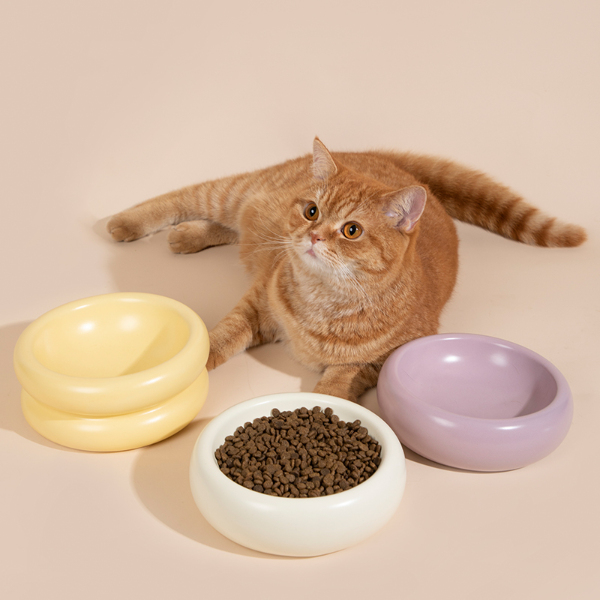 Donut Ceramic Pet Bowl (Single layer / Double layer)