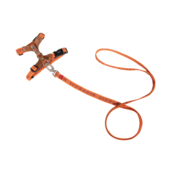 Bobo Series - Reflective Leather Cat Harness & Leash
