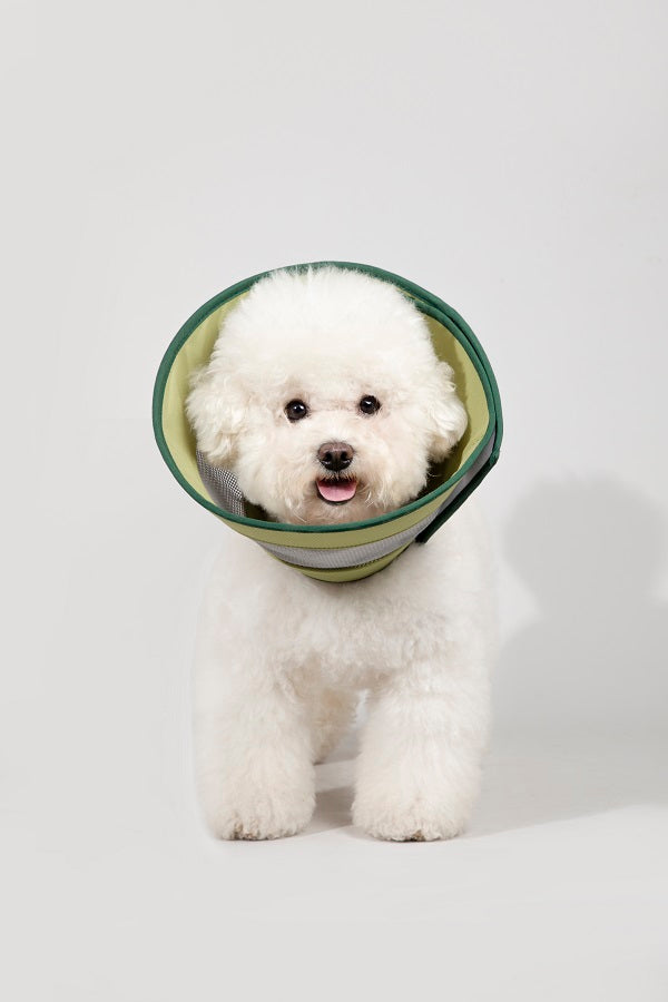 Grid Breathable Elizabethan Pet Recovery Collar