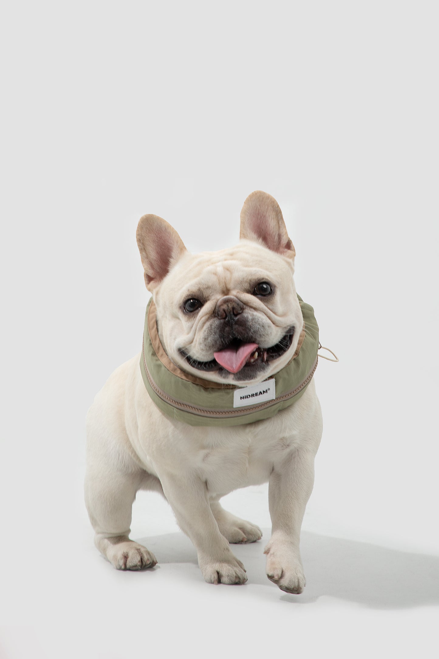 Dog Cooling Bandanas