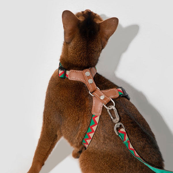 Rainbow Series - Leather Cat Harness & Leash