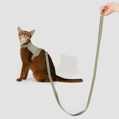 Valley Series - Small Vest Cat Harness & Leash