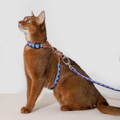 Rainbow Series - Leather Cat Harness & Leash