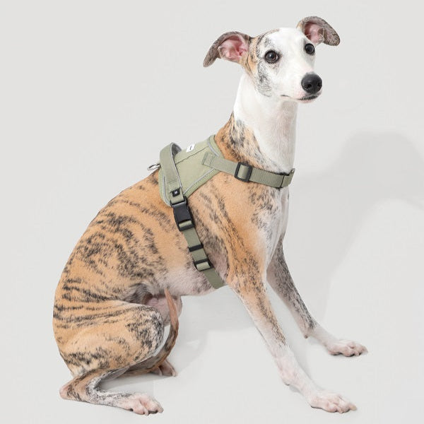 Valley Series - Quick-wear anti-explosion Harness