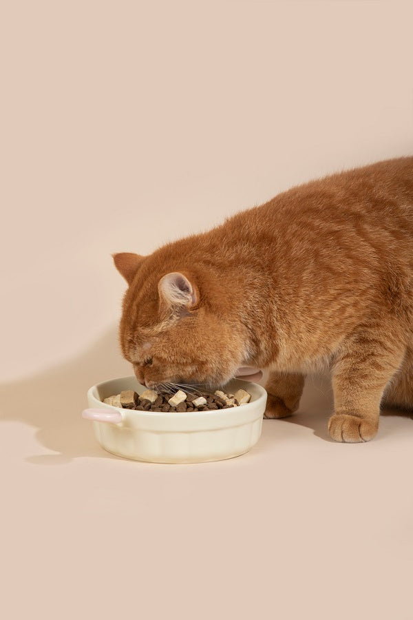 Small Ears Ceramic Pet Bowl