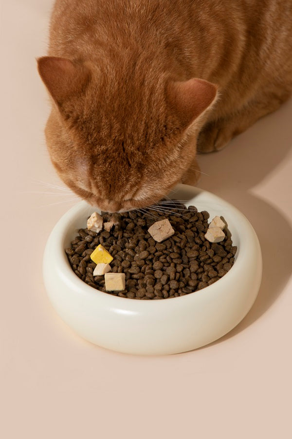 Donut Ceramic Pet Bowl  (Single layer / Double layer)