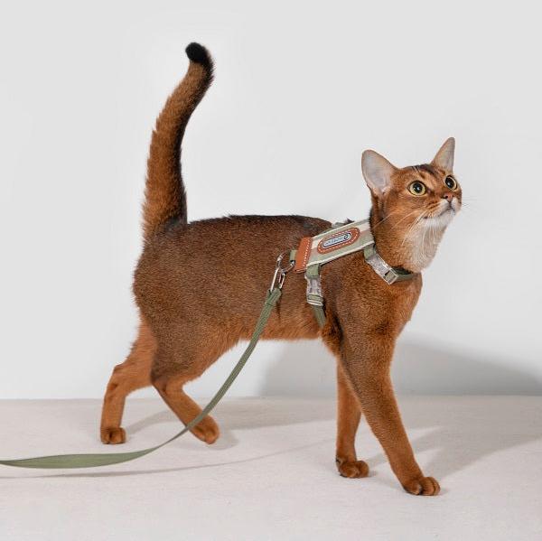 Bobo Series -  Striped Cat Harness & Leash