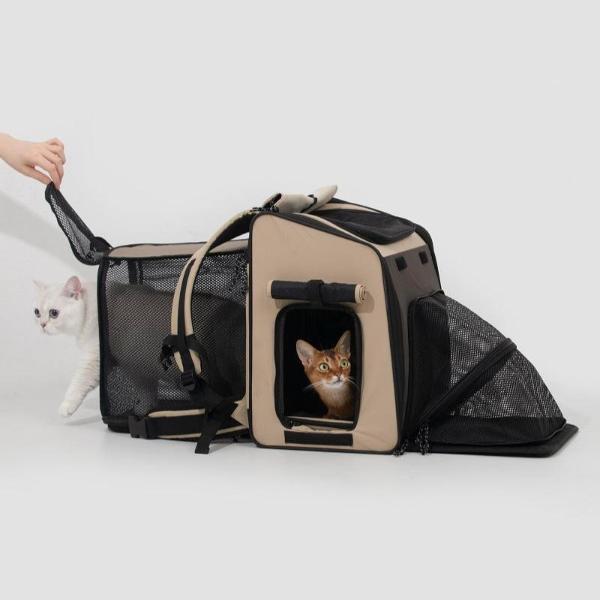 Pet Backpack & Pet Tent 2-in-One