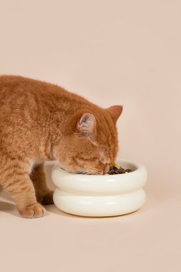 Donut Ceramic Pet Bowl  (Single layer / Double layer)