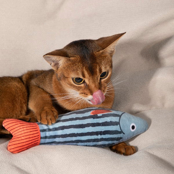 Catnip Fish Toy