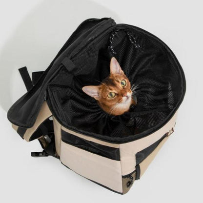 Pet Back & Forth Tote Backpack