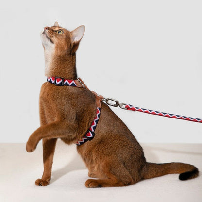 Rainbow Series - Leather Cat Harness & Leash