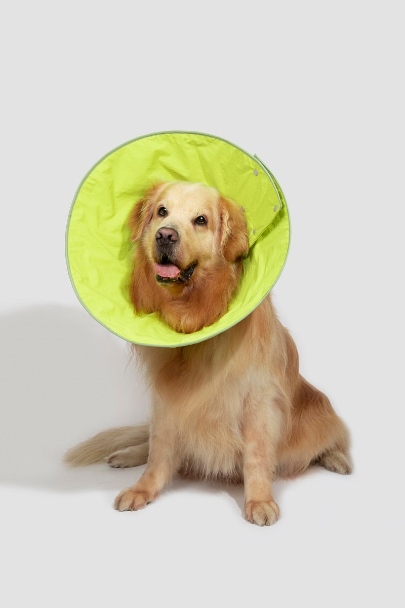 Snap Taper Elizabethan Pet Recovery Collar