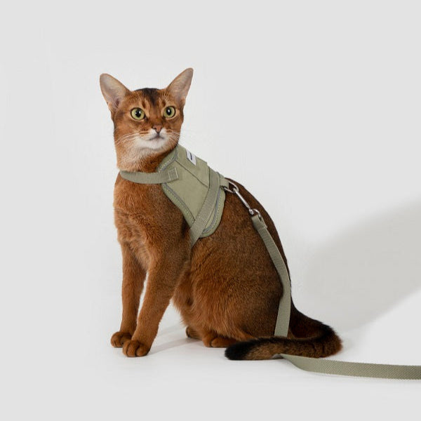 Valley Series - Small Vest Cat Harness & Leash