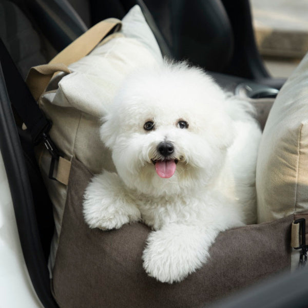 Pet Car Seat