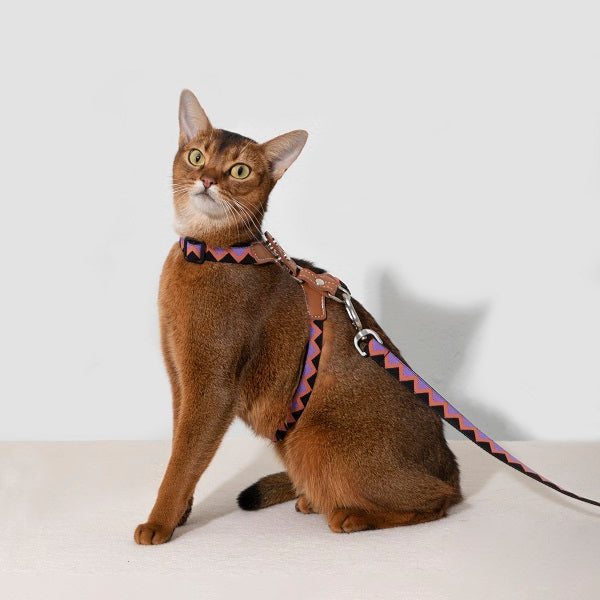 Rainbow Series - Leather Cat Harness & Leash