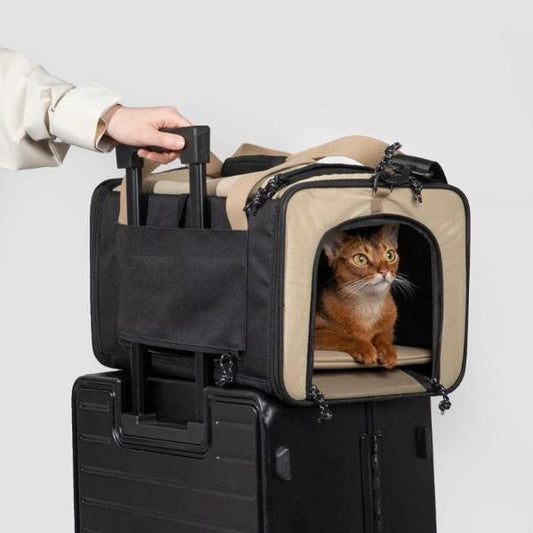 Pet Airline Tote Travel Bag