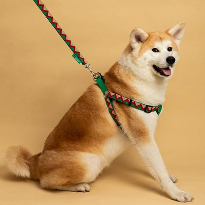 Rainbow Series - Dog Leash