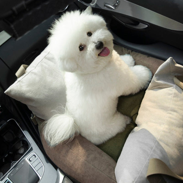 Pet Car Seat