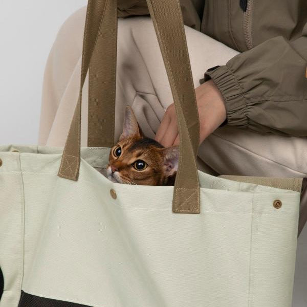 Pet One-shoulder Canvas Outing Bag