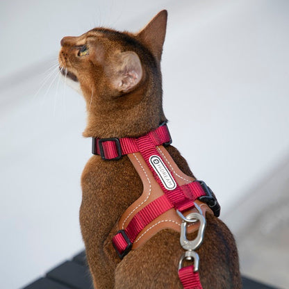 BoBo Series - Cat Leather Harness & Leash