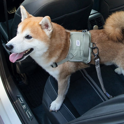 Valley Series - Pet Seat Belt