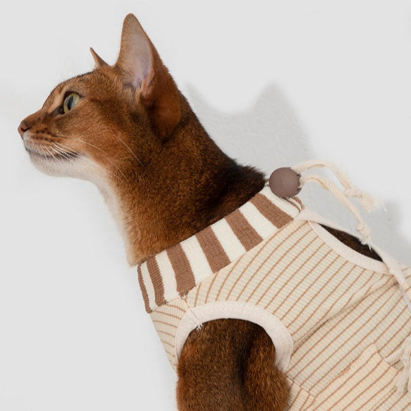 Cat Surgical Gown