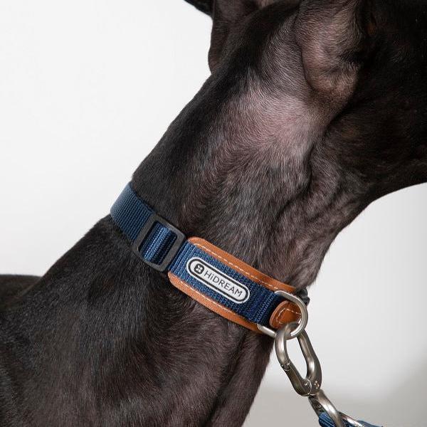 BoBo Series - Leather Dog Collar