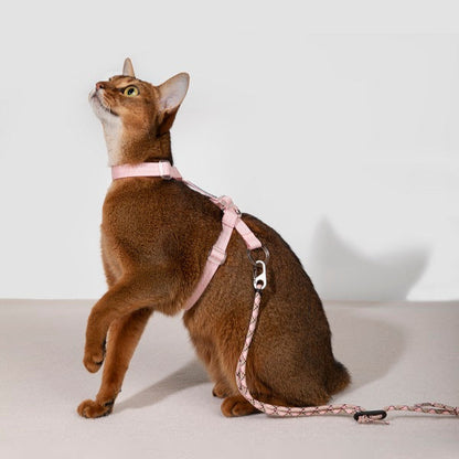 Bobo Series · Free Exploration Cat Chest Harness & Leash