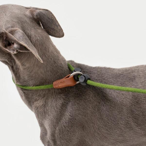 BoBo Series - Leather Handle Lead Dog Leash (Slim)